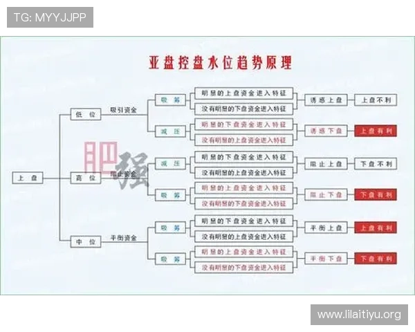 足彩网官方首页最新资讯与全面攻略，助你轻松掌握足球彩票投注技巧
